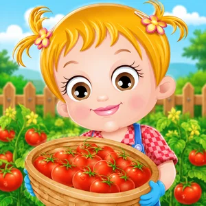 Baby Hazel Tomato Farming