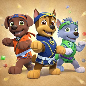 Paw Patrol Pup Fu